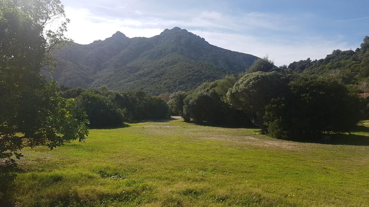 New Camping Coccorrocci Marina di Gairo Dış mekan fotoğraf