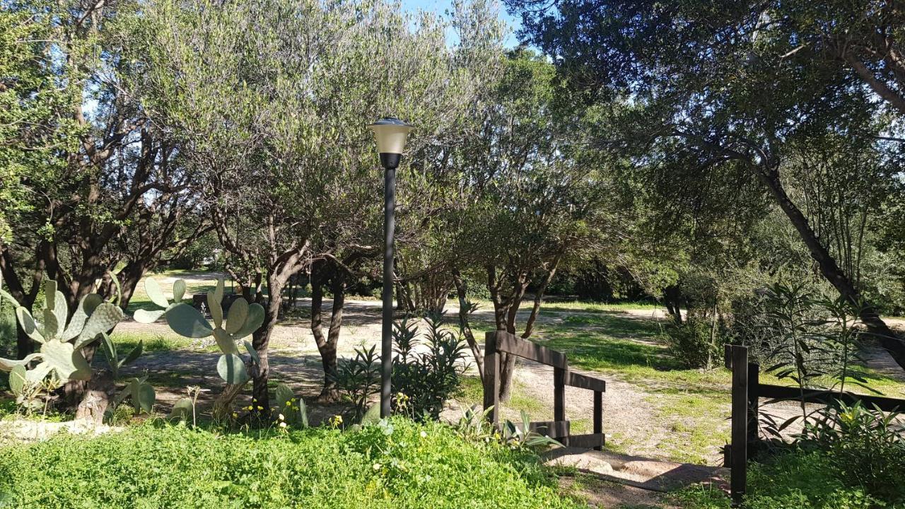 New Camping Coccorrocci Marina di Gairo Dış mekan fotoğraf