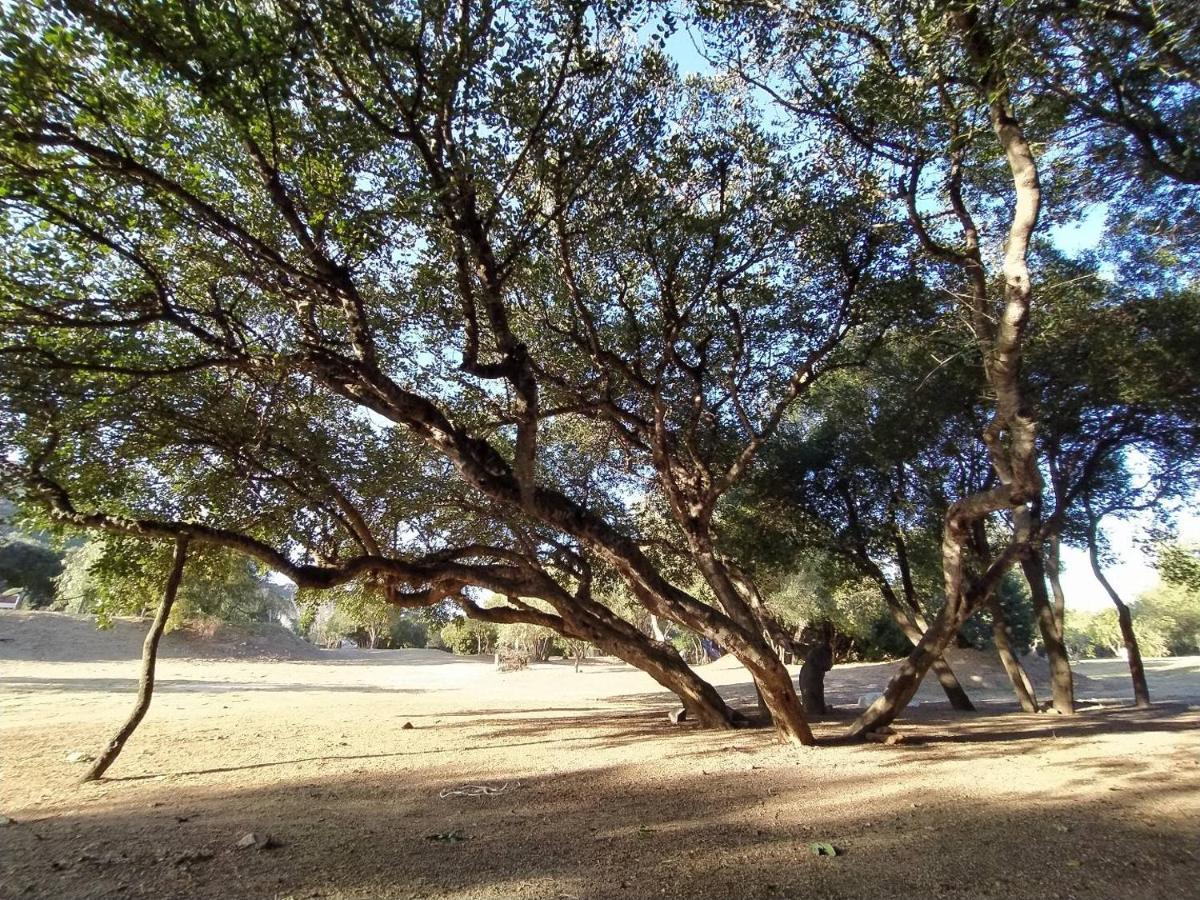 New Camping Coccorrocci Marina di Gairo Dış mekan fotoğraf