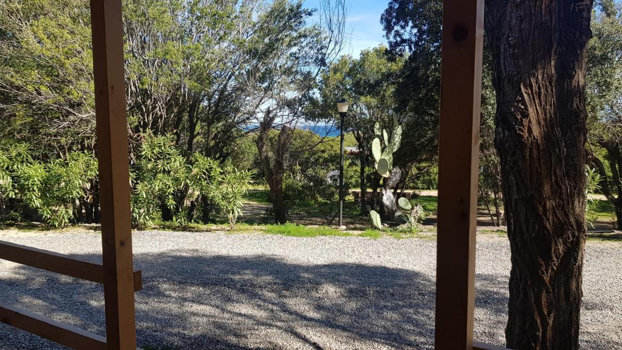 New Camping Coccorrocci Marina di Gairo Dış mekan fotoğraf