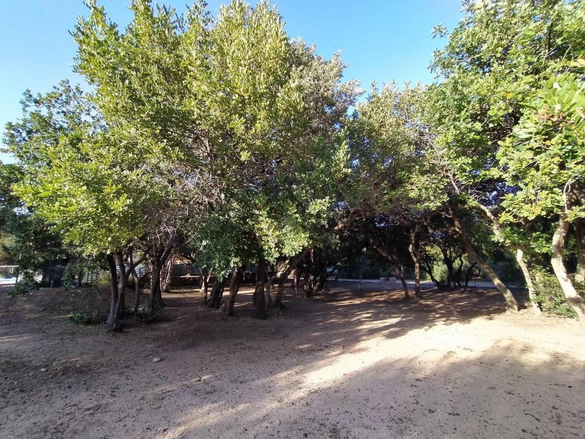 New Camping Coccorrocci Marina di Gairo Dış mekan fotoğraf
