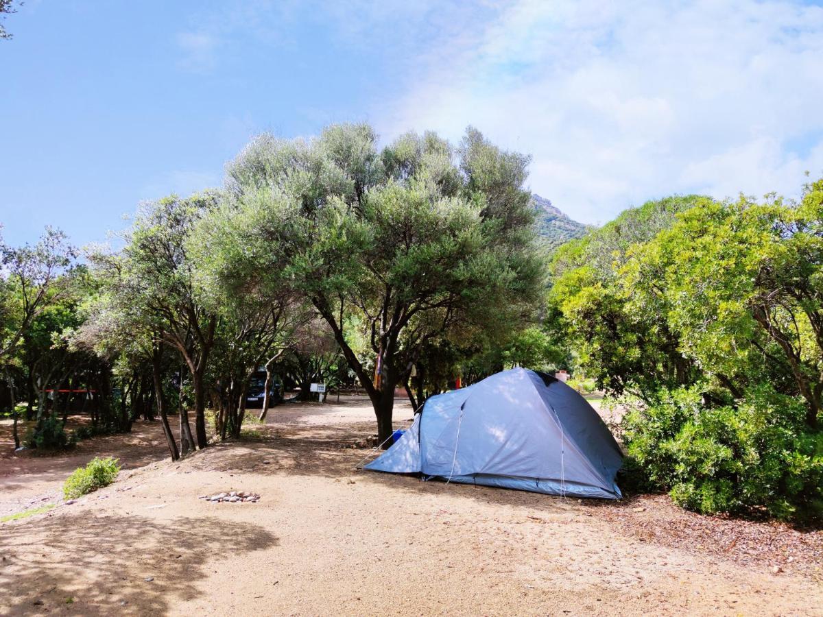 New Camping Coccorrocci Marina di Gairo Dış mekan fotoğraf