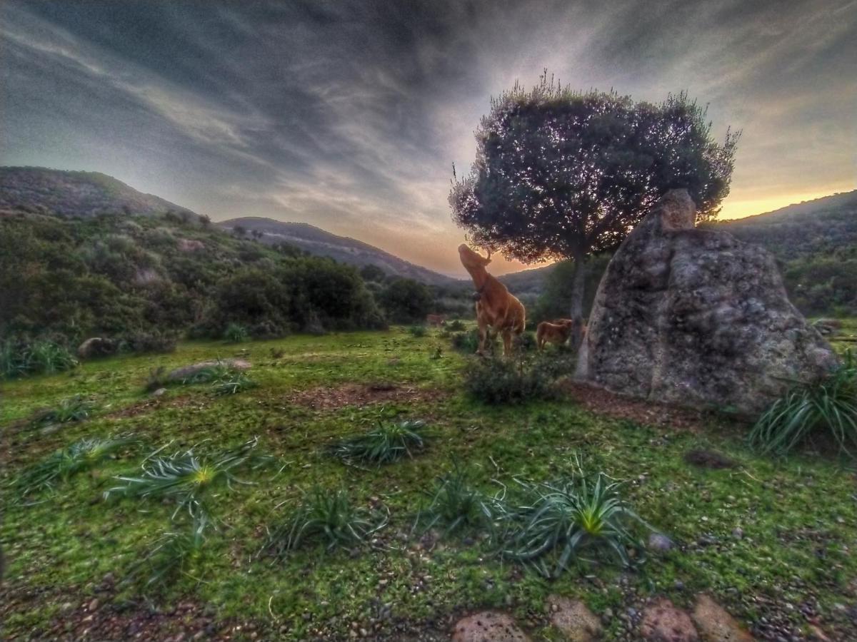New Camping Coccorrocci Marina di Gairo Dış mekan fotoğraf