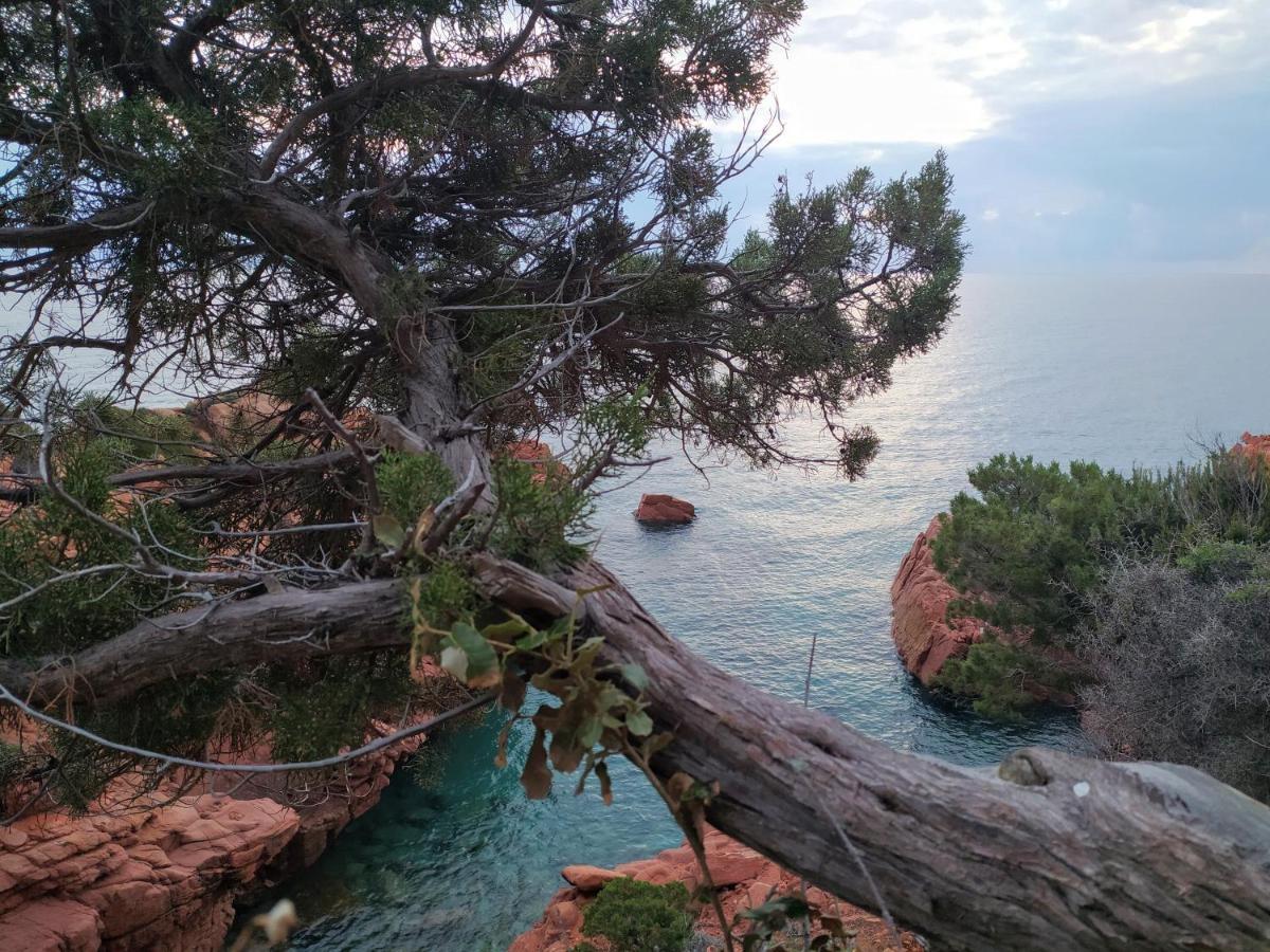 New Camping Coccorrocci Marina di Gairo Dış mekan fotoğraf