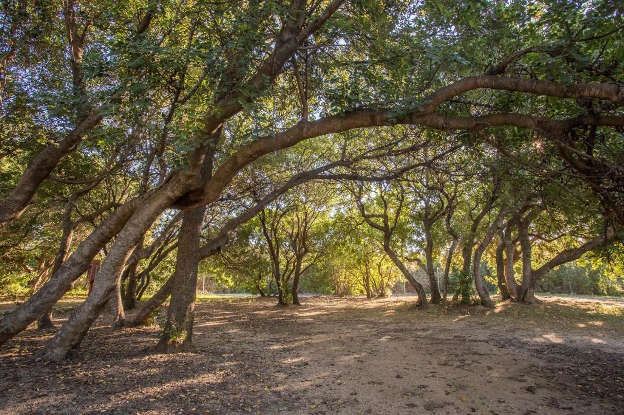 New Camping Coccorrocci Marina di Gairo Dış mekan fotoğraf