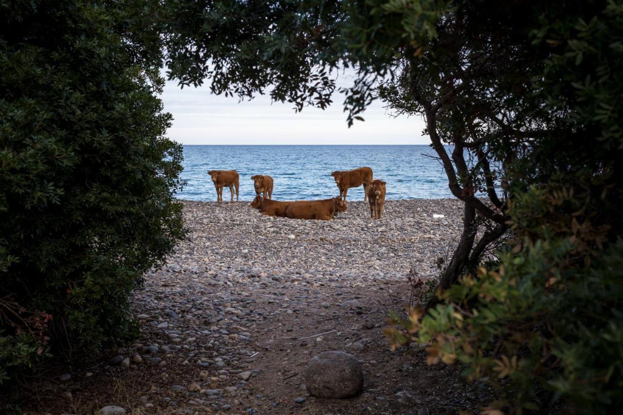 New Camping Coccorrocci Marina di Gairo Dış mekan fotoğraf